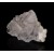 Fluorite with Pyrite phantoms - La Viesca  M05116
